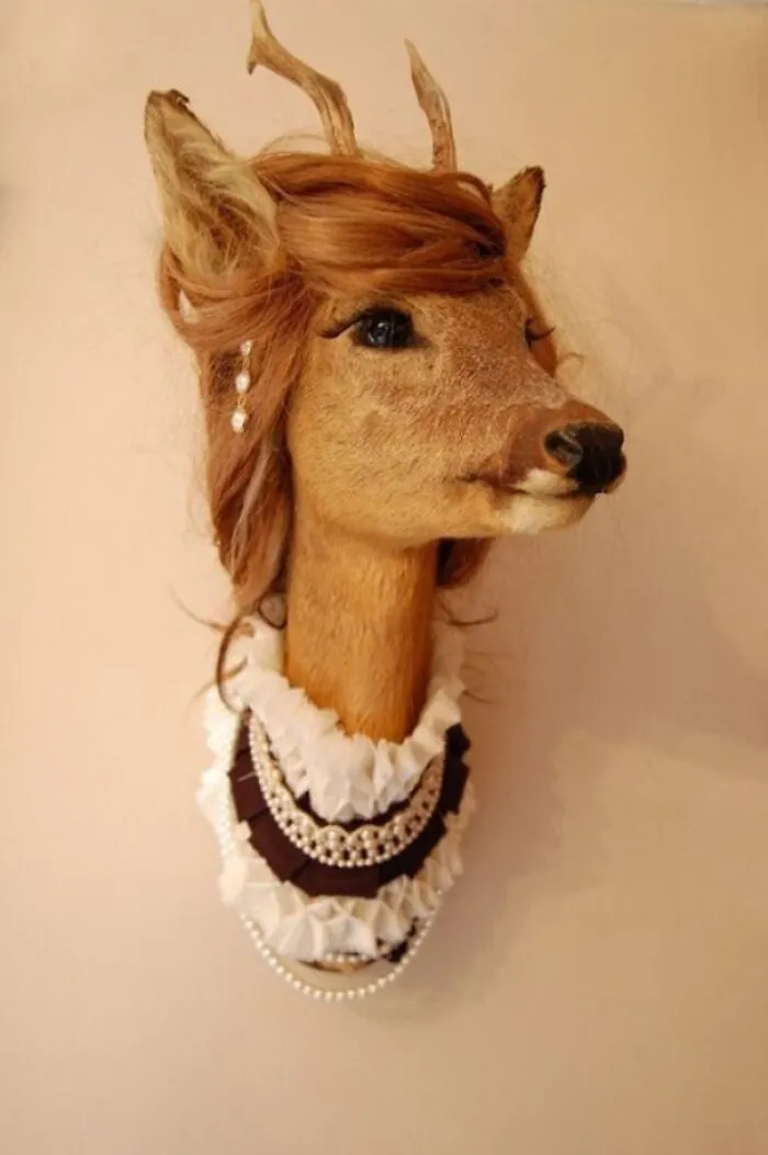 An Interesting Approach To Taxidermy