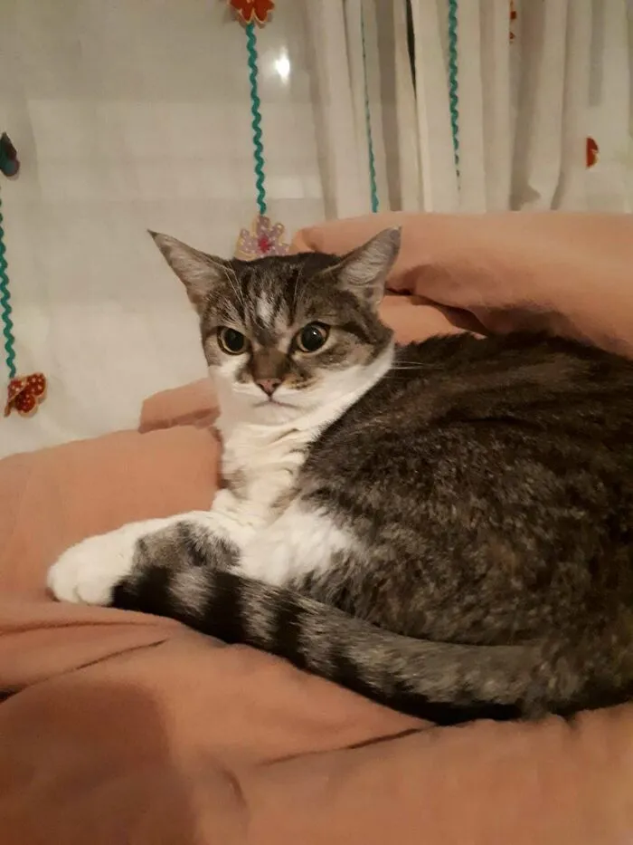 This Is Betty And She Hates Every Single One Of You
