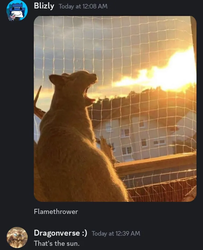 Bro Didn't Get It 😭