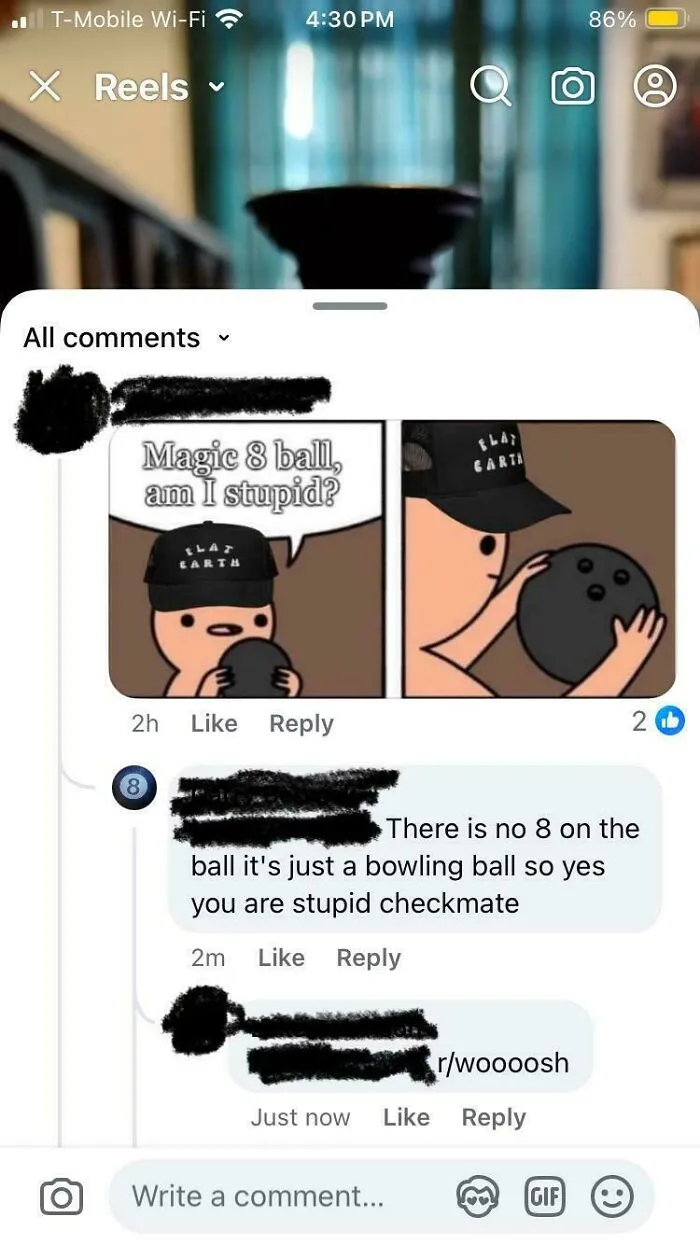 An online comic about a magic 8 ball gets corrected with a comment saying it is just a bowling ball.