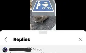 50 People Who Missed The Sarcasm And Immediately Got Roasted For It Online (New Pics)
