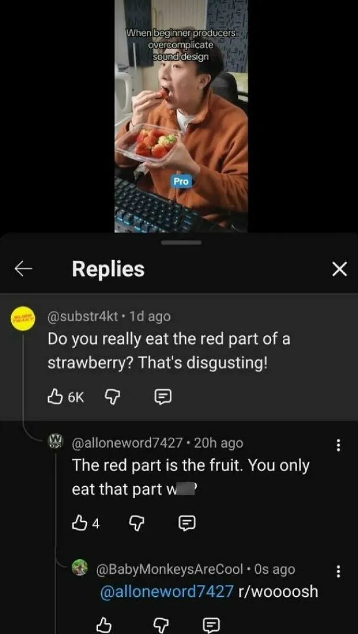 Comment thread on YouTube illustrating a user who corrected an obvious joke about eating strawberry red parts.