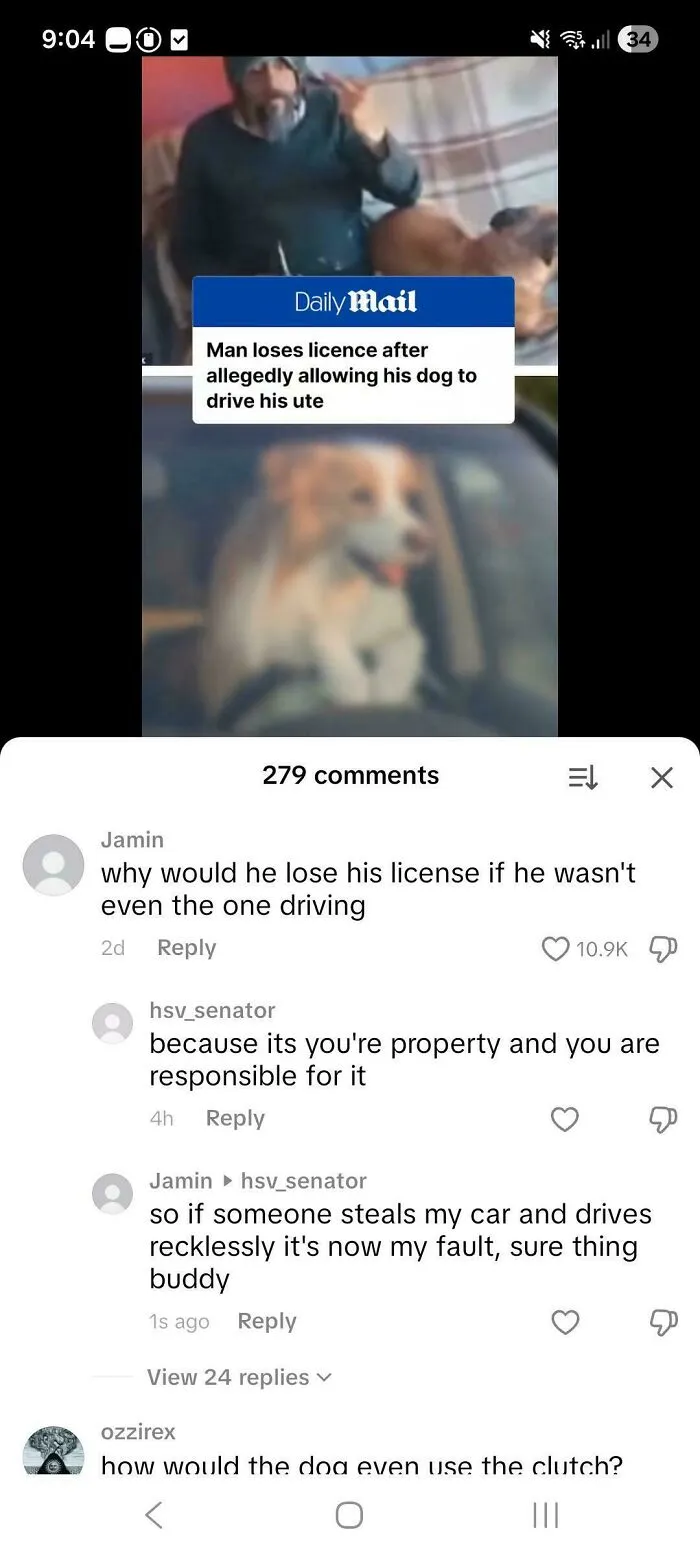 TikTok comments showing a user who corrected an obvious joke about a dog driving a ute.