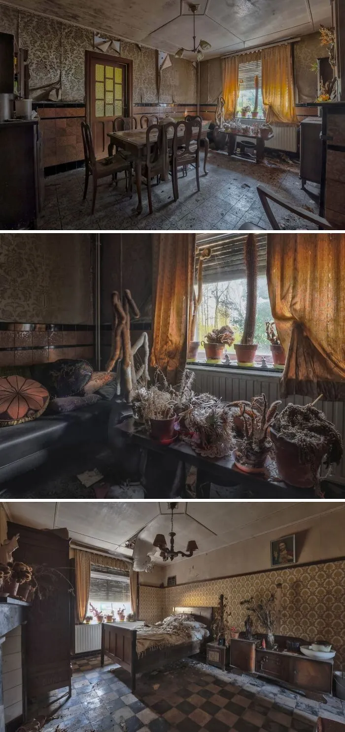 Abandoned House