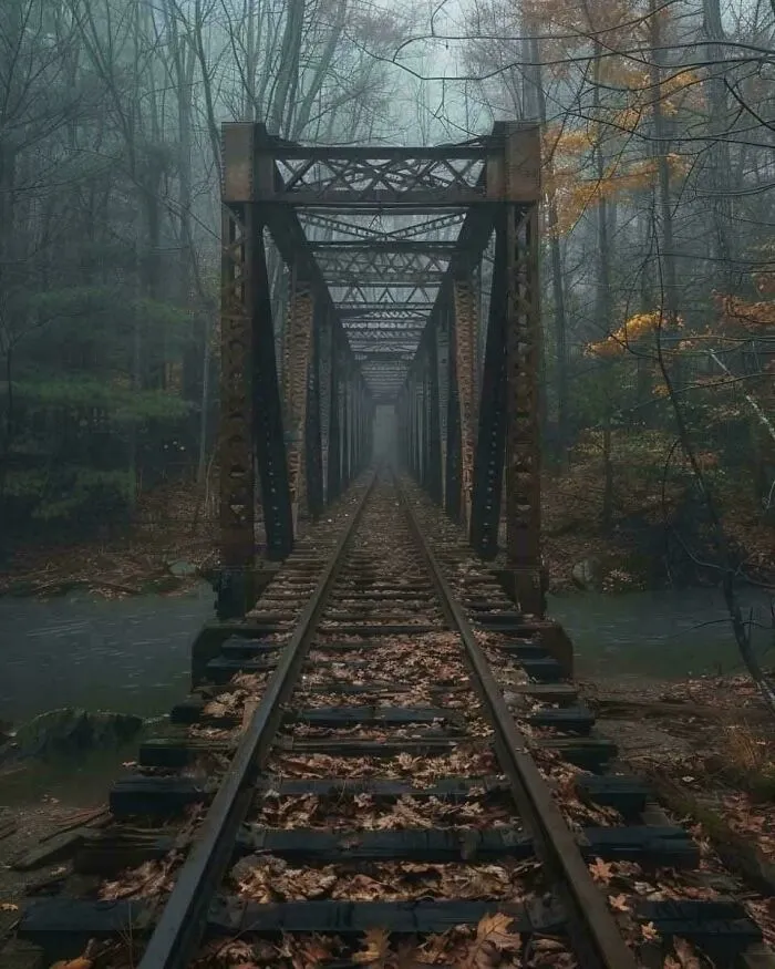 Antiguo puente ferroviario en el bosque