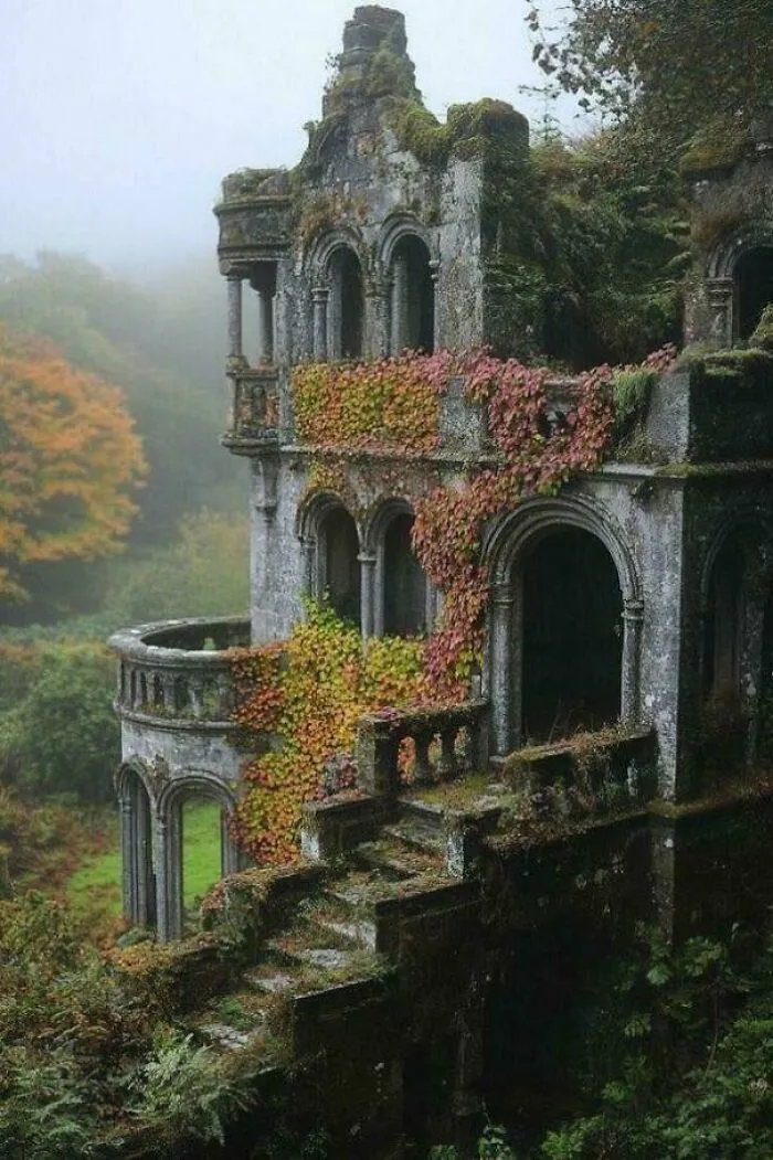 Abandoned Beauty