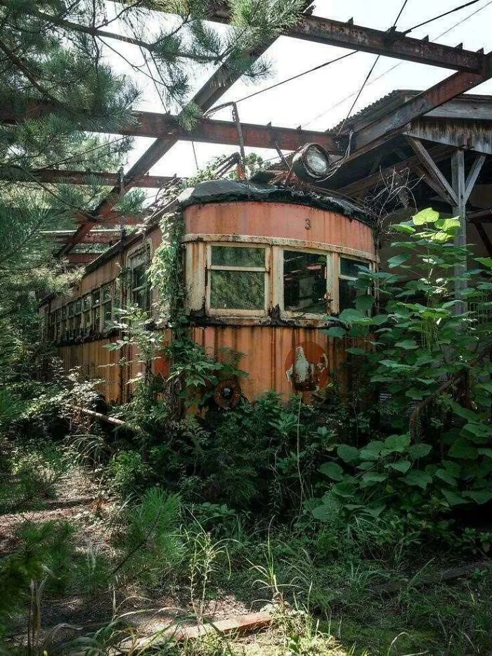 Tren y estación abandonados y cubiertos de vegetación en Yamagata, Japón.