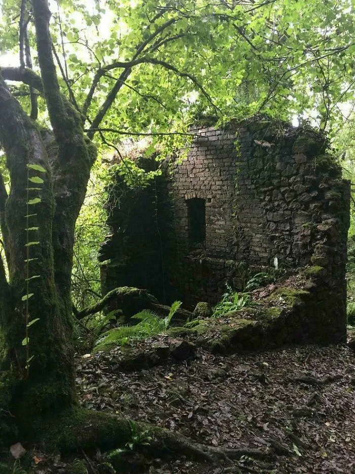Abandoned Beautiful Place
