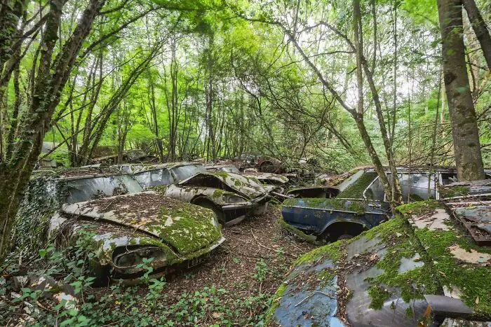 Abandoned Cars