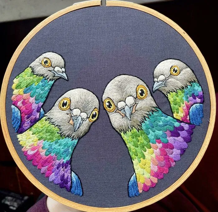 Judgemental Pigeons