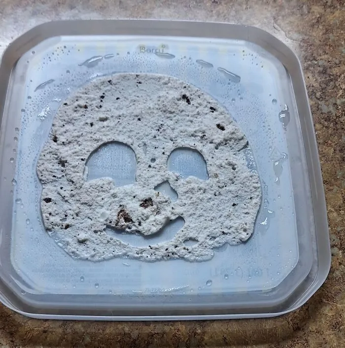 90 Hilarious Cases Of Pareidolia That People Couldn’t Pass Up (New Pics)