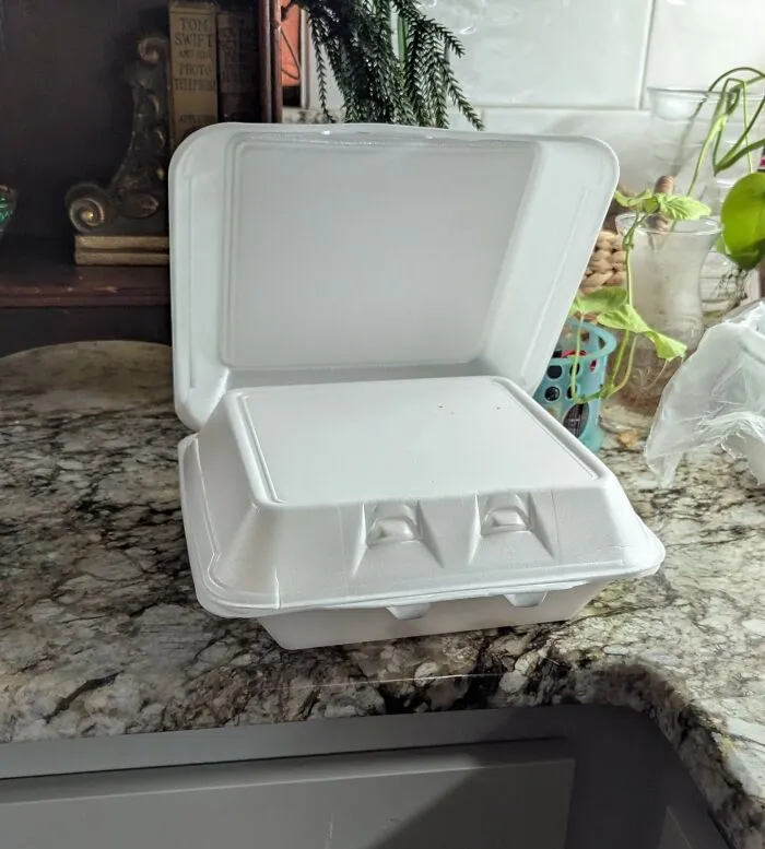 Dang Vampire Takeout Carton Always Side-Eyeing My Blood Oranges