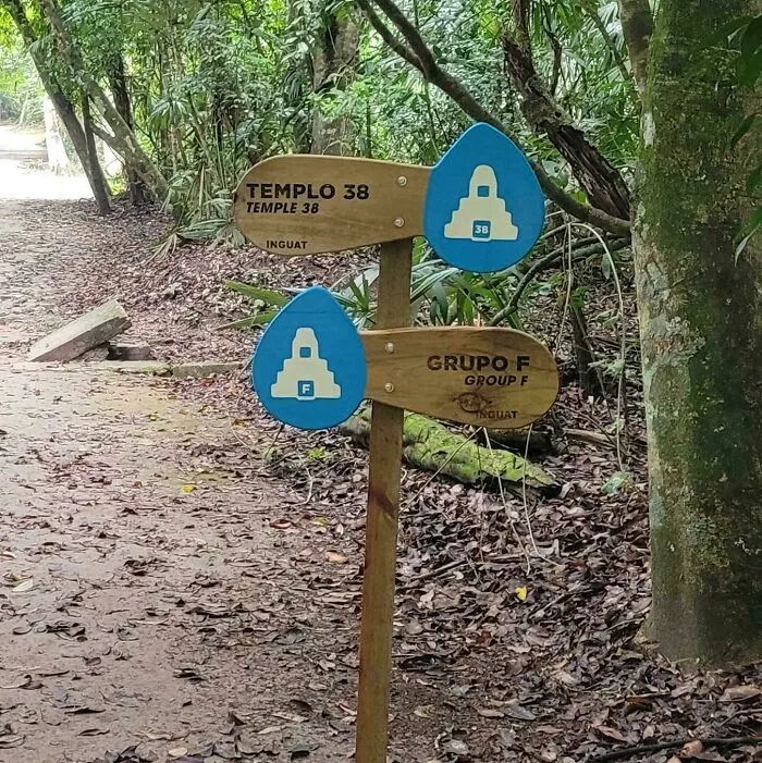 Which Way To Temple 38? Or Group F? Took Me Half A Day To Figure Out That These Signs Are Both Pointing Straight Ahead