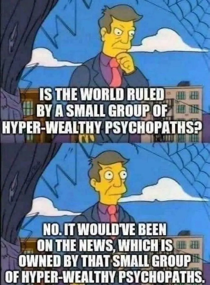 Meme from 48 brilliantly unhinged posts showing a character questioning world rule by hyper-wealthy psychopaths.