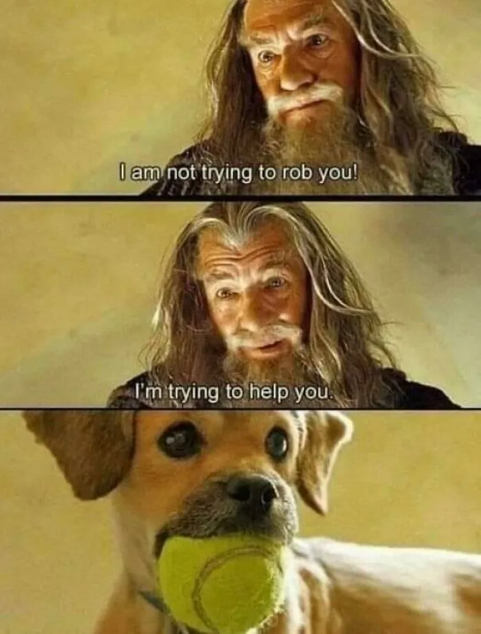 Scene from a movie showing a wise man speaking and a dog holding a tennis ball, in a brilliantly unhinged post.