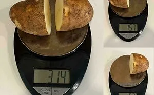 116 “Mildly Interesting” Things That You May Have Never Seen Before (New Pics)