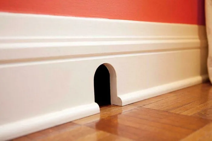 Why Don’t Mice Make Holes Like These Anymore?