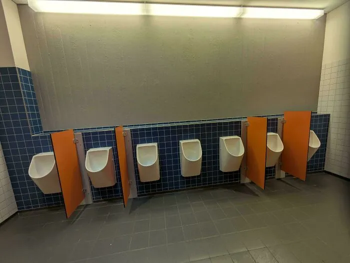 The Design Of The Toilets At Our School