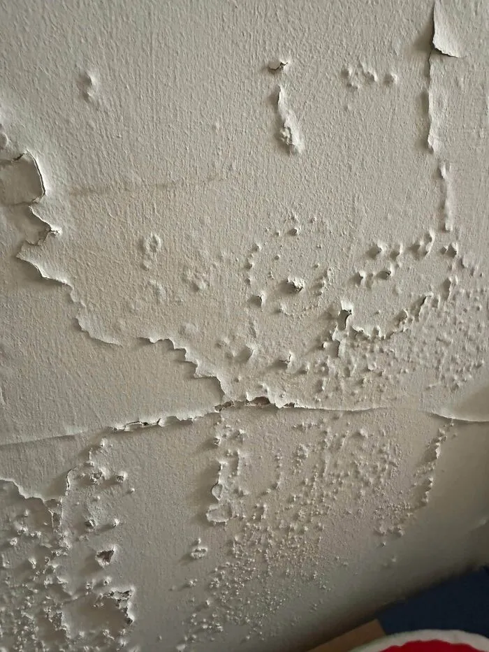 What’s Causing This On My Chimney?