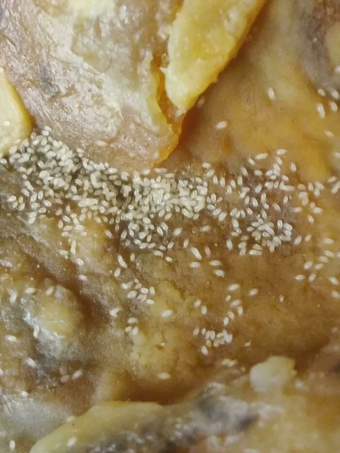 What Are These Small White Animals On My Iberico Ham Leg From Spain? They Are Very Very Small And Moving Around