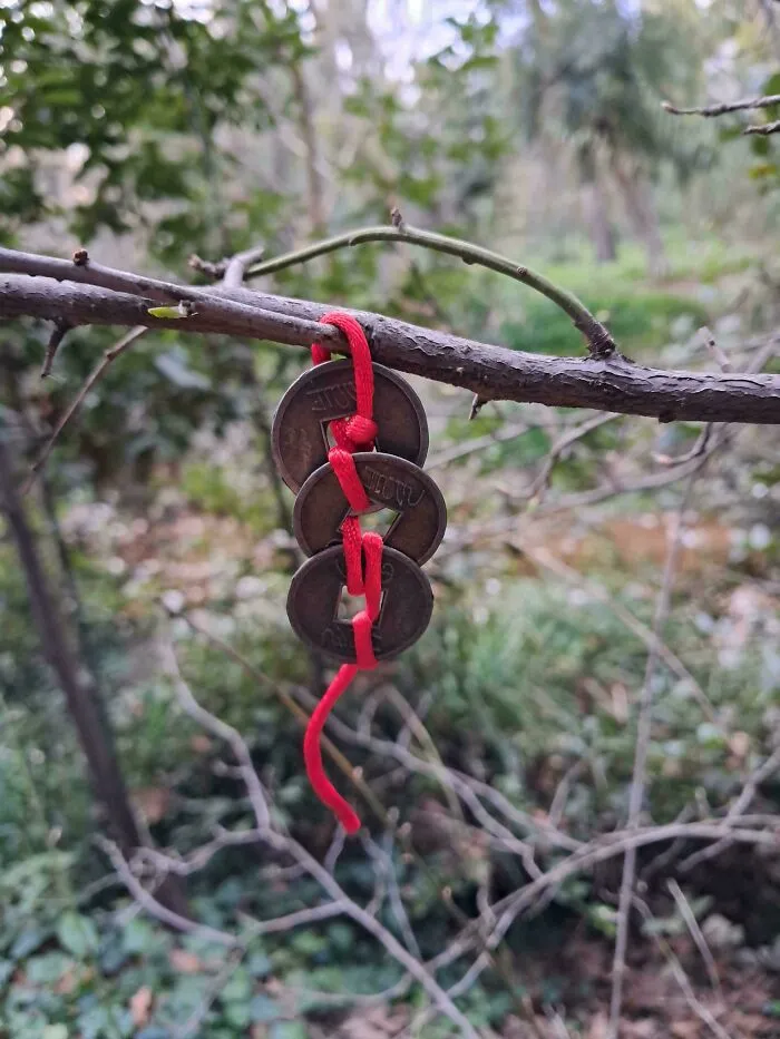 What Is This?