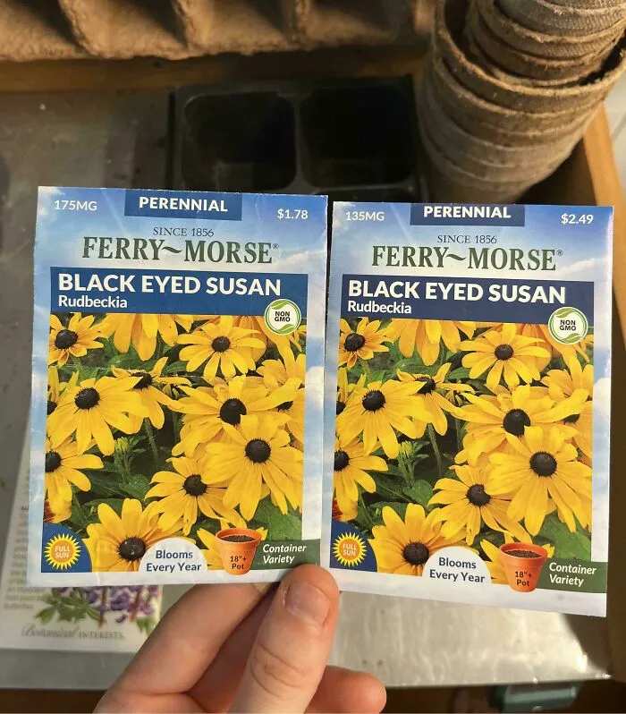 Same Seeds From 2022 And Now