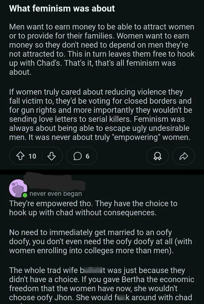Incel Take On Feminism