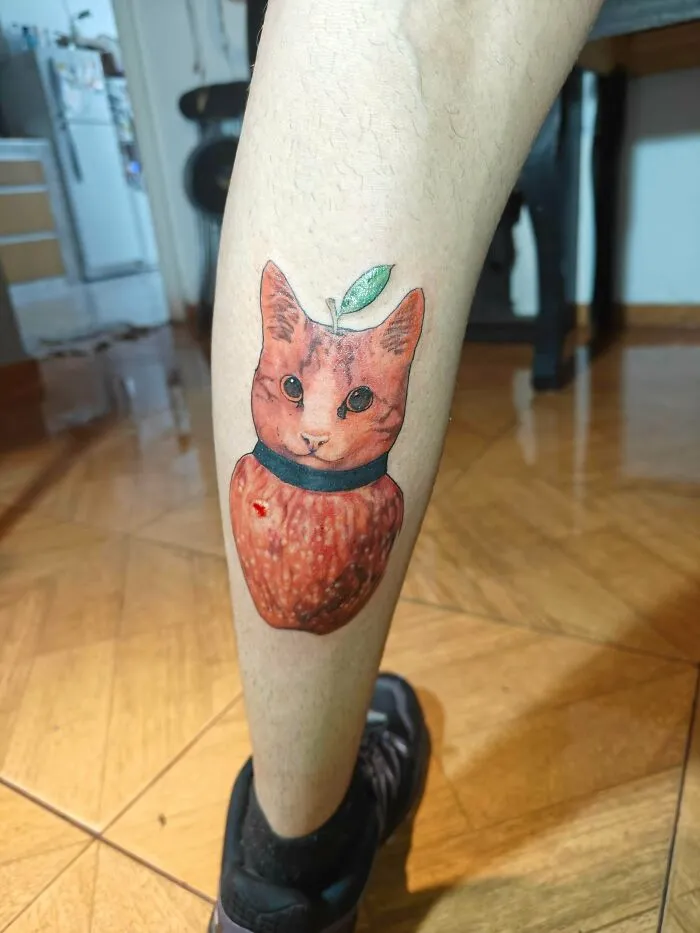 ¿Qué os parece?