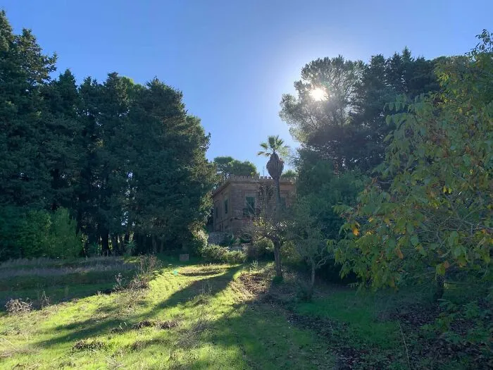 Does This Count As Antique? House Was Built In 1902