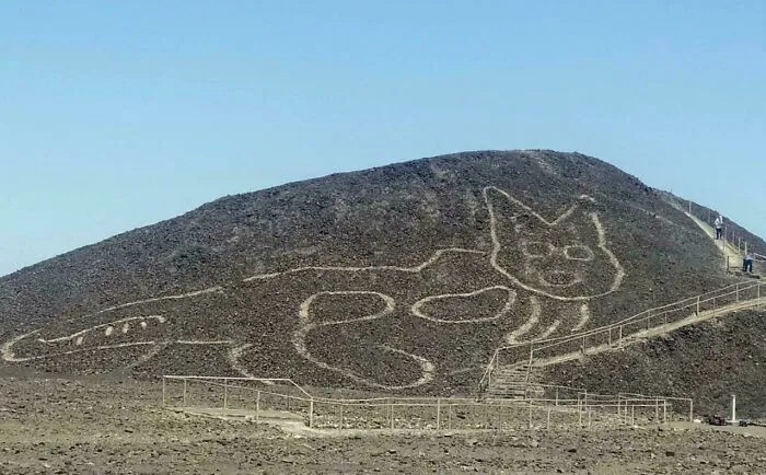 Large geoglyph of a cat on a hillside, an ancient artefact that survived to provide perspective on humanity and the world.