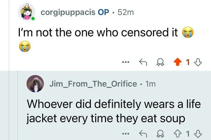 A Reddit comment section with a user saying, Whoever did definitely wears a life jacket every time they eat soup, a savage verbal knockout.