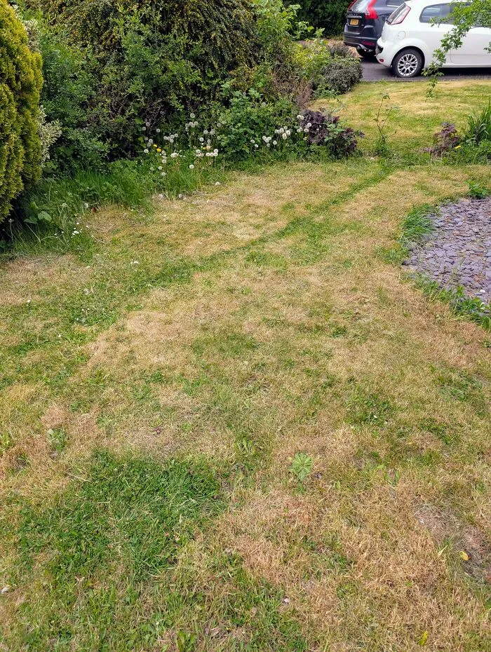 Does This Count? My Neighbours Cat Likes This Shortcut