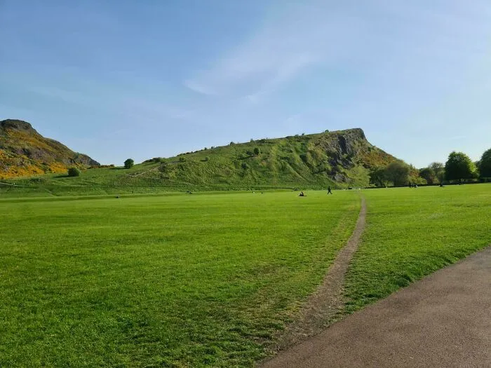 Desire Path With A View