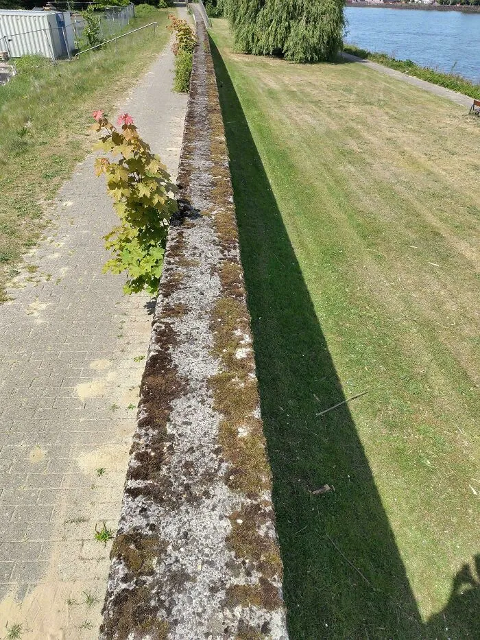Because Walking Above The Path Is More Fun
