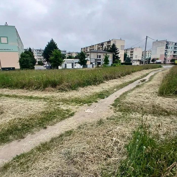 My City Kinda Acknowledge A Few Disired Paths Near My House By Cutting The Tall Grass Next To Them