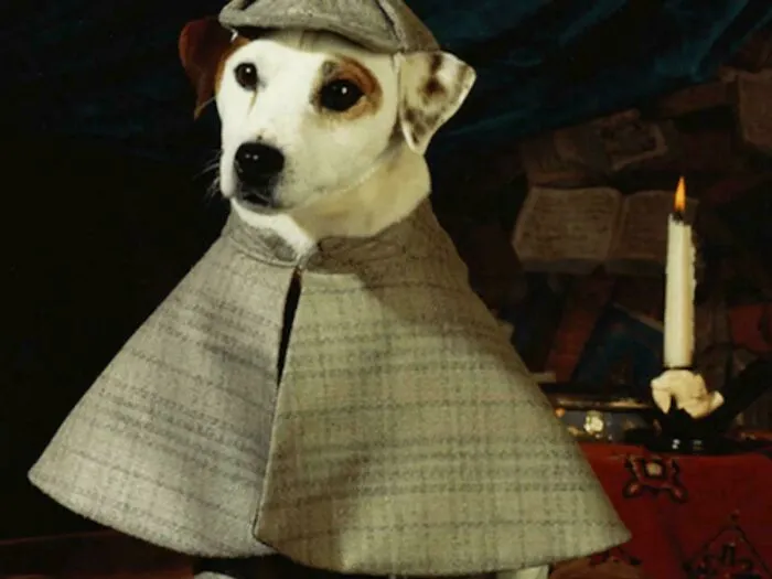 Anyone Remember Wishbone?