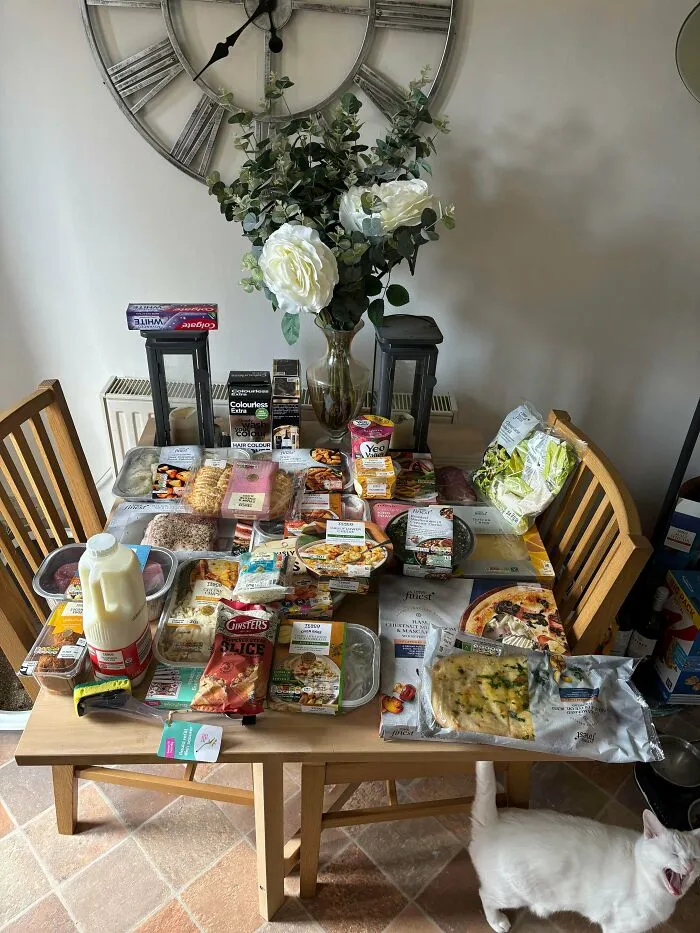£196.34 - 1 Person 31f With 3 Cats