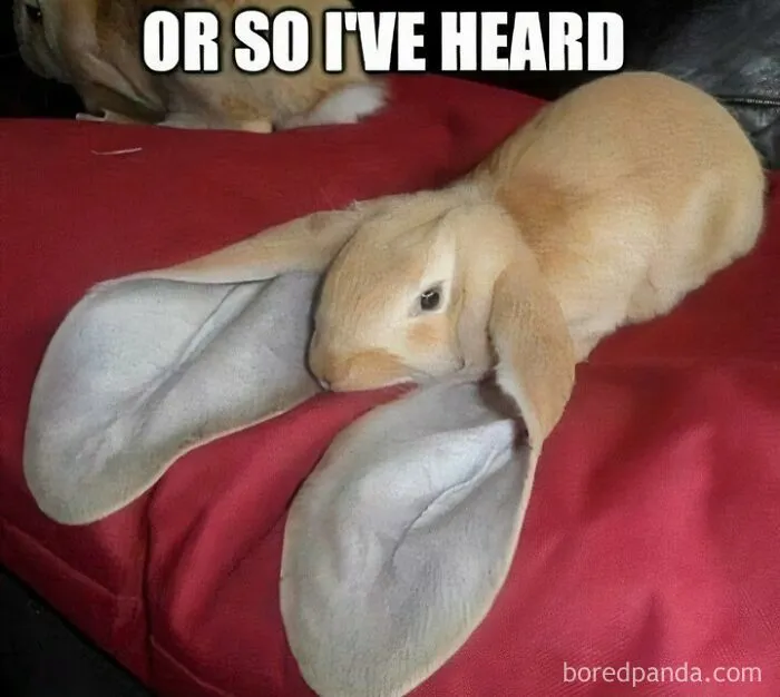 50 Memes That Range From Wild To "What Did I Just Read?"