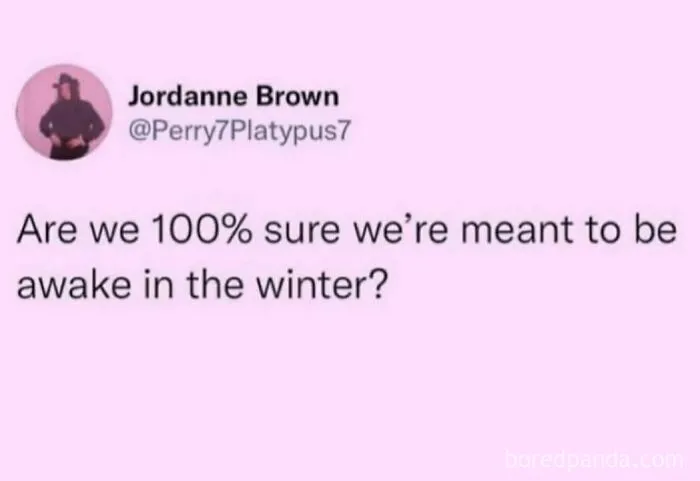 106 Funny Memes For People Who Are Mentally Tired