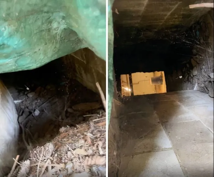 Found This Under The House