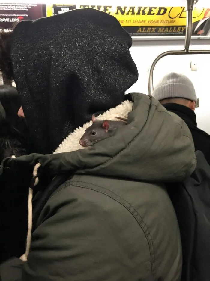Seen On The Subway