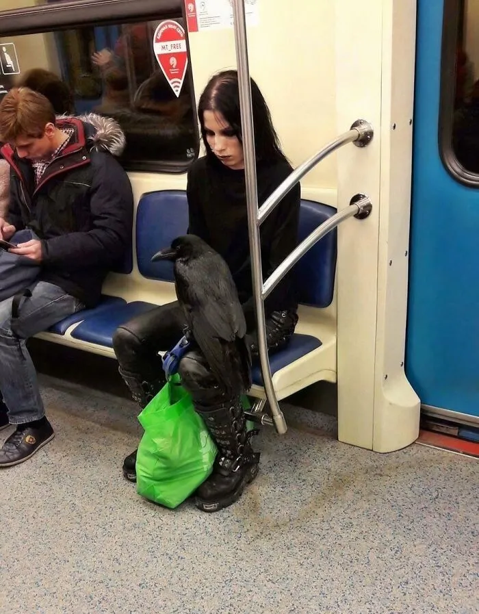 Sure, You Might Think You're Goth, But Unless You Dejectedly Ride The Subway With Your Raven