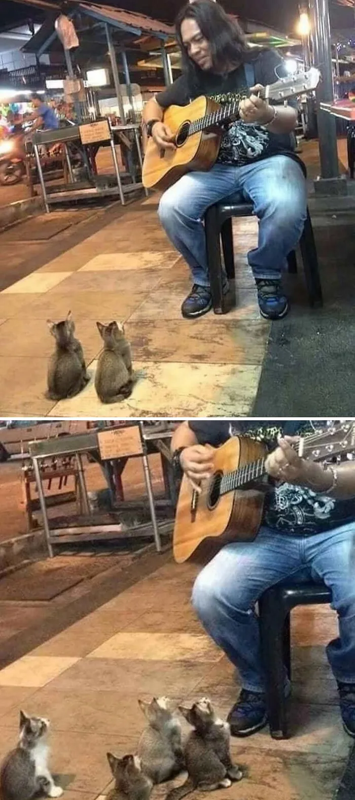 80 Random Pics That Don’t Need Context To Be Funny