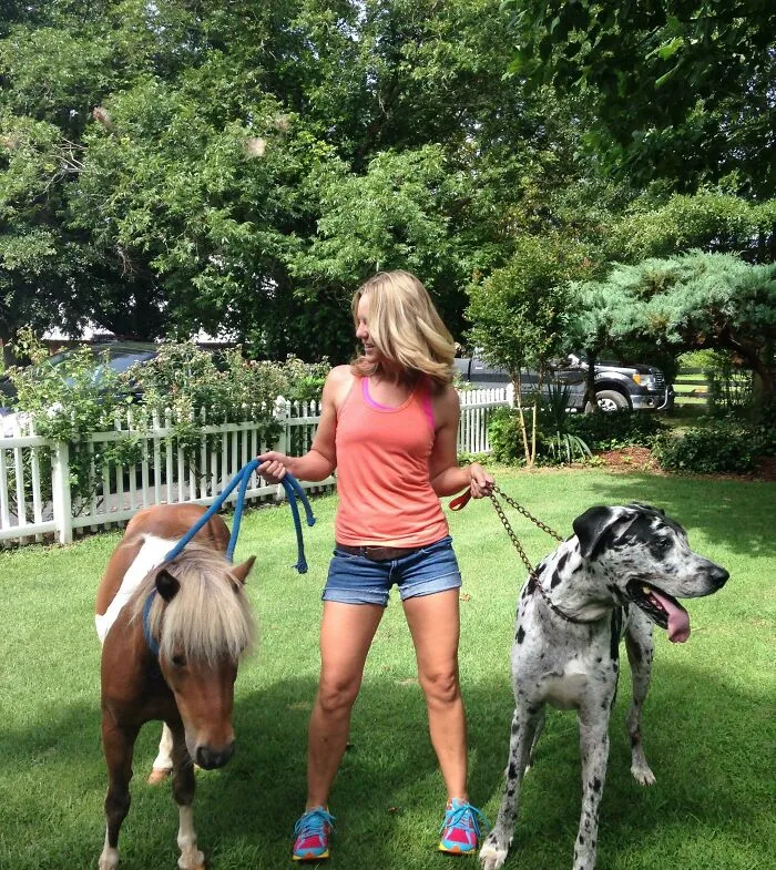 Pony Sized Dog Or Dog Sized Pony?