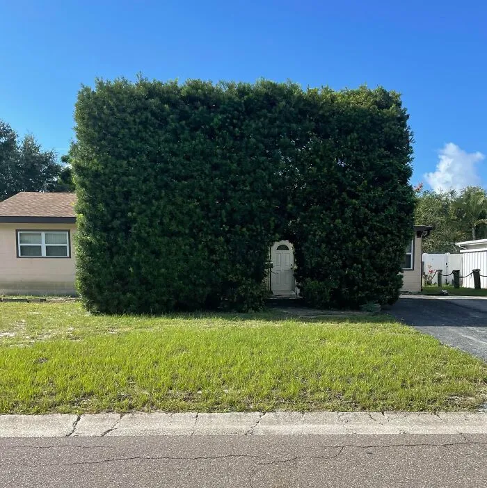 I Warned My Girlfriend Of My Huge Bush