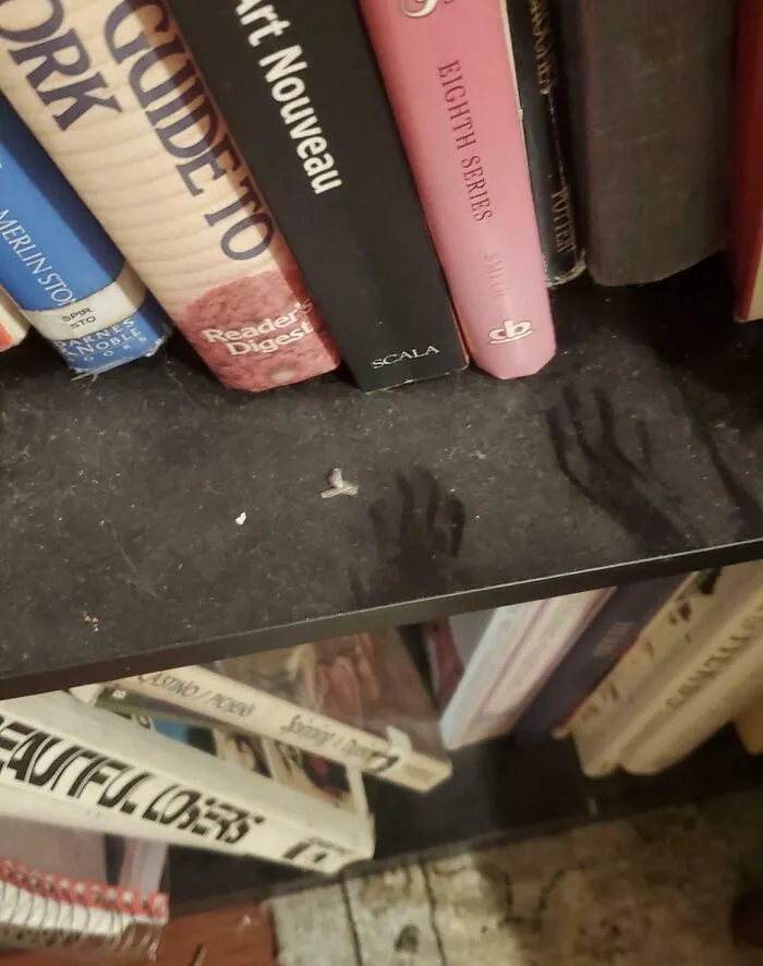 Left Home For A Couple Months, Came Back To Find Tiny Hand Prints