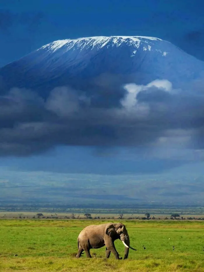 Tanzania May Own The Mountain, But Kenya Owns The View [kilimanjaro]