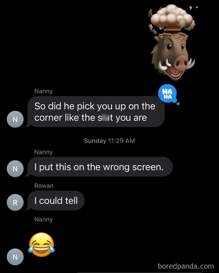 Grandma Meant To Send The Text Just To Me But Sent It To A Group Chat With All Her Grandkids Aged 8-12 Which Made Me Laugh Really Hard