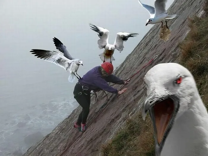 r/enlightenedbirdmen