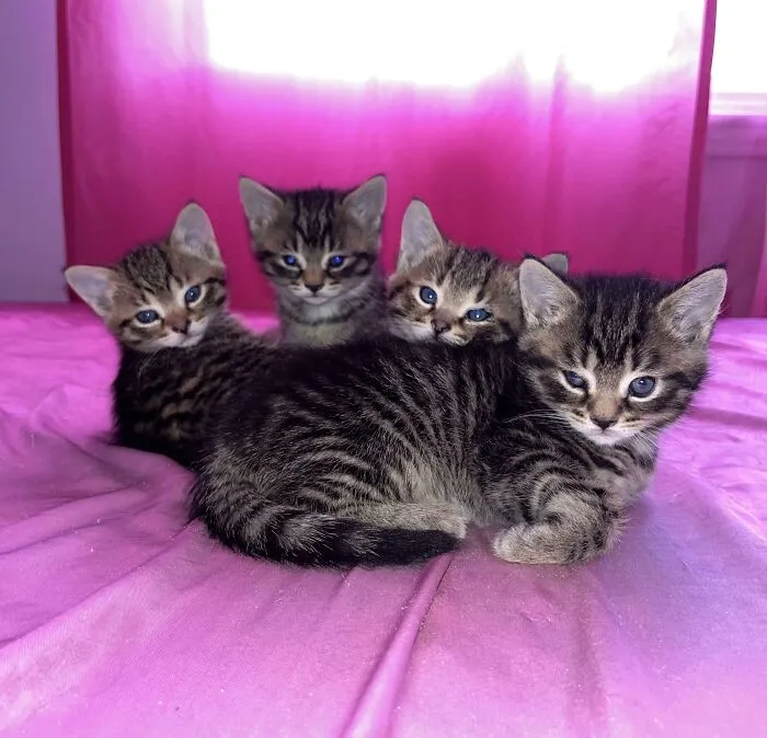 What Do You Want From Us Exactly?